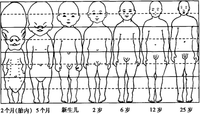 人口性比例一般规律_表情 墨菲定律九型人格乌合之众羊皮卷人性的弱点微表情
