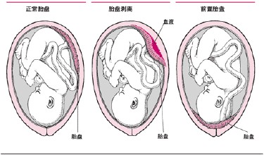 20151018102255463.jpg
