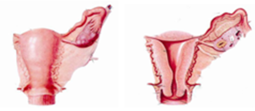 2017年护士资格考试真题及答案(更新中)